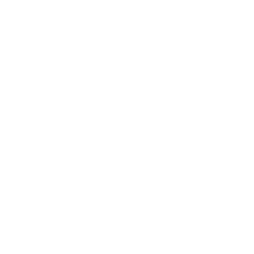 megabus